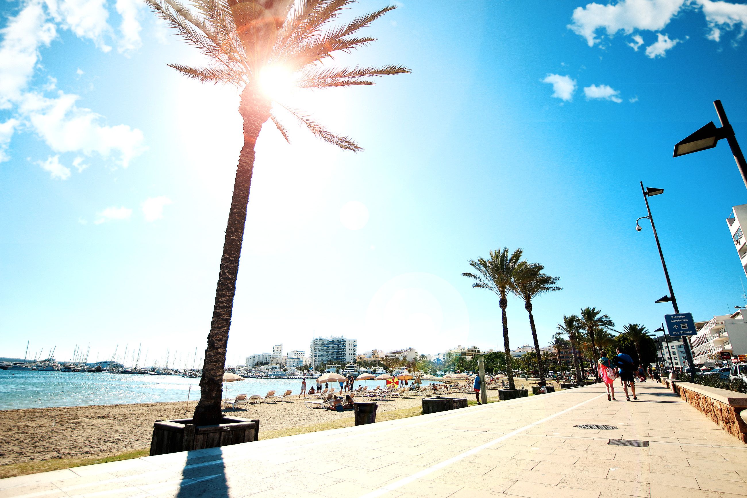 Waarom Alicante?